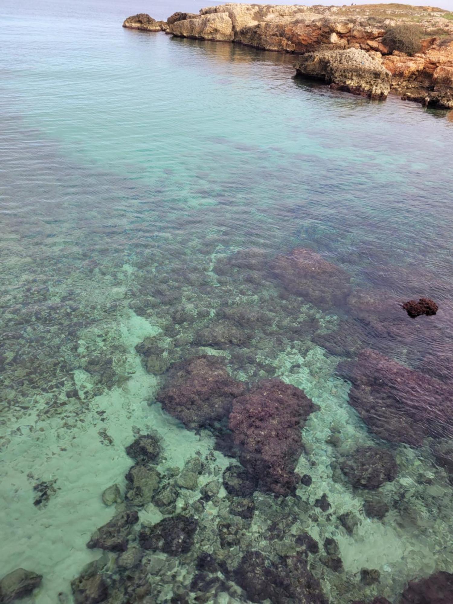 Cala Paradiso モノーポリ エクステリア 写真